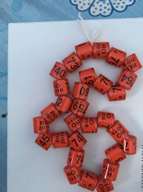 7B473702-3E4F-48B2-AF81-76A2C780BF7F - Inele 2018