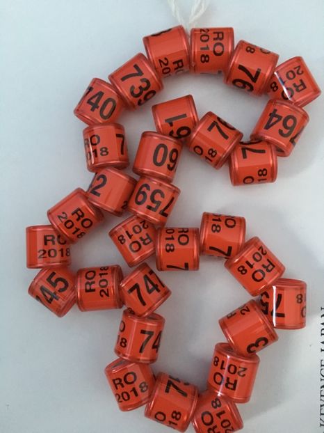 0A5BA5CB-9218-44E4-9ED2-7BBC672CB83A - Inele 2018