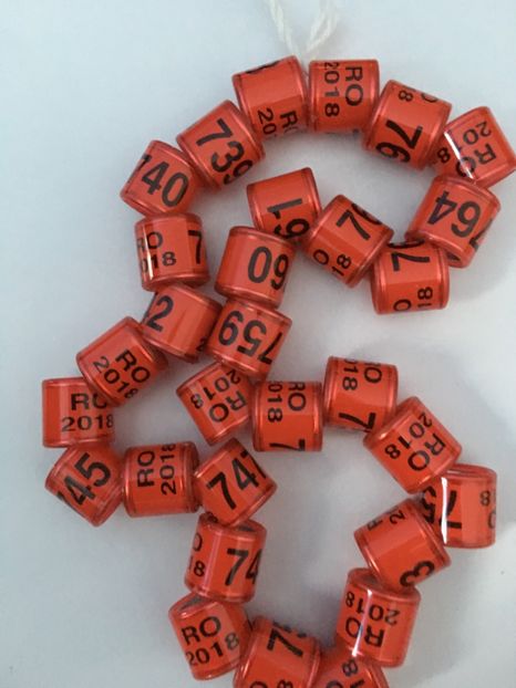 47B47A63-9E0E-461F-A668-3AE25432E2E1 - Inele 2018