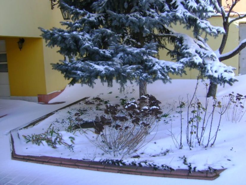 1 mart. 2018 - dupa 3 zile de viscol si ger - v Iarna 2016-2017-2018