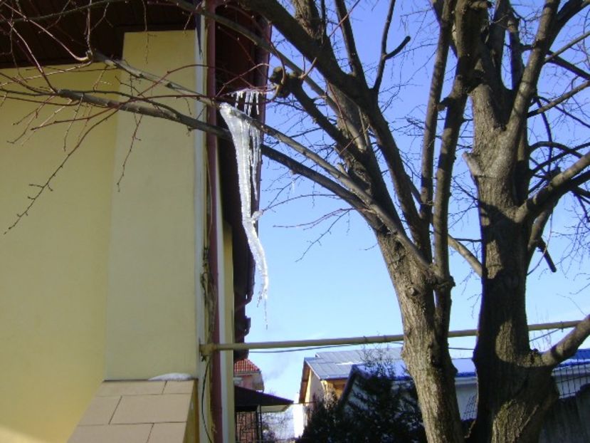1 mart. 2018 - dupa 3 zile de viscol si ger - v Iarna 2016-2017-2018