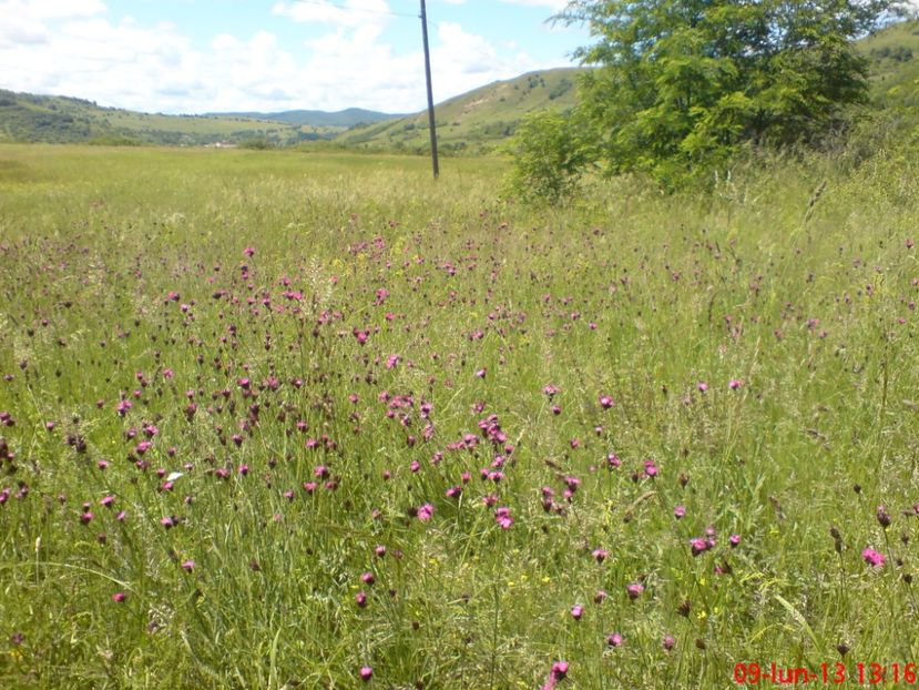  - B  -Contact-pentru oameni seriosi