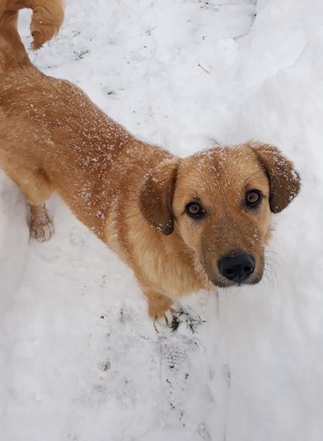  - Iarnă sau primăvară?