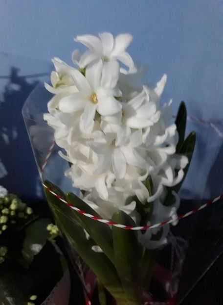  - 2018 - Florile mele