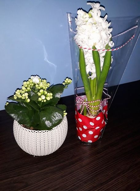  - 2018 - Florile mele