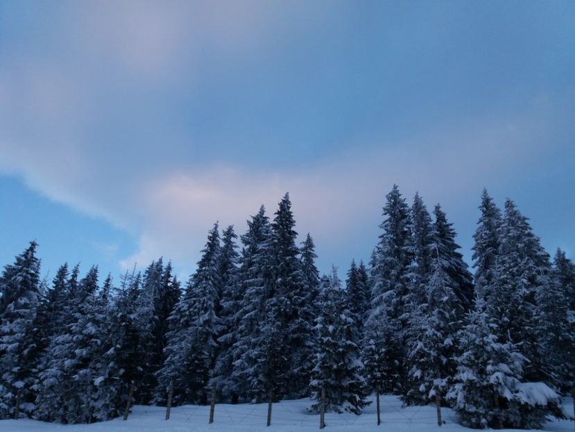  - Rânca în februarie 2018