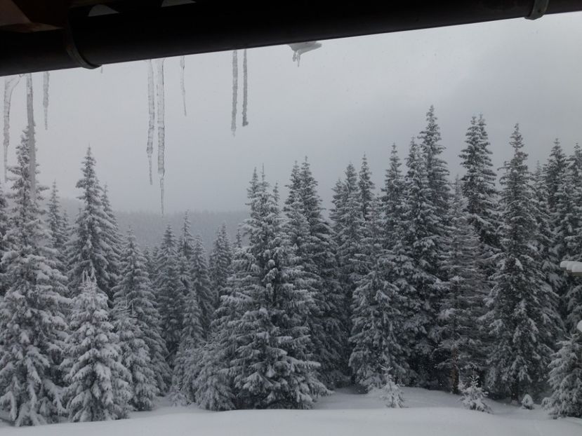  - Rânca în februarie 2018