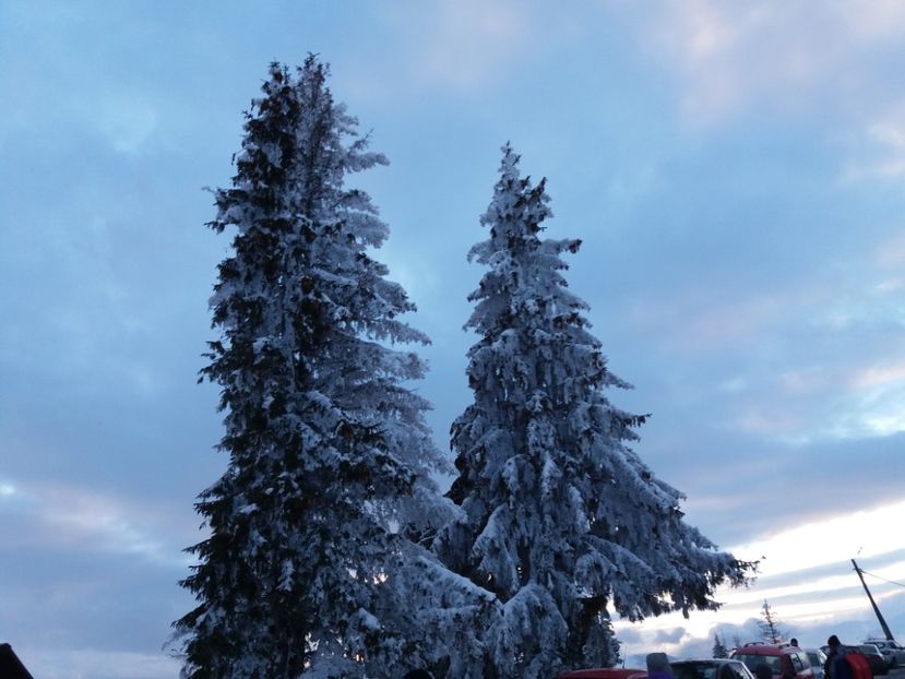  - Rânca în februarie 2018