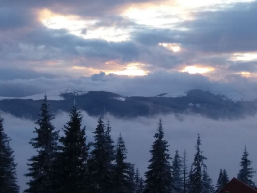  - Rânca în februarie 2018