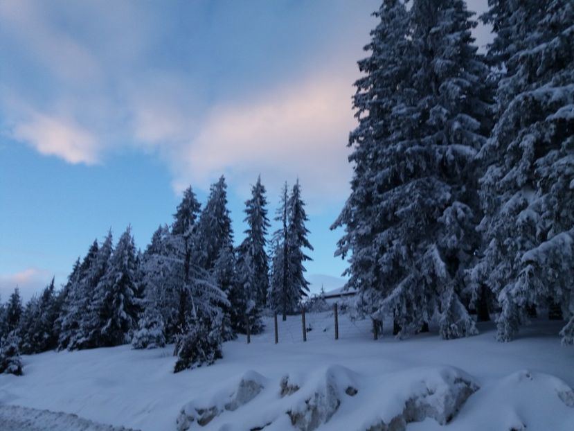  - Rânca în februarie 2018