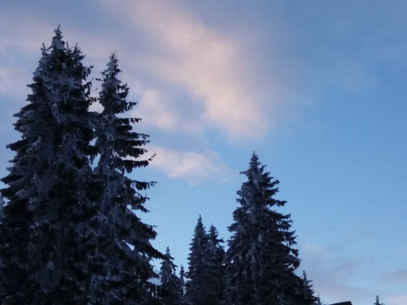  - Rânca în februarie 2018