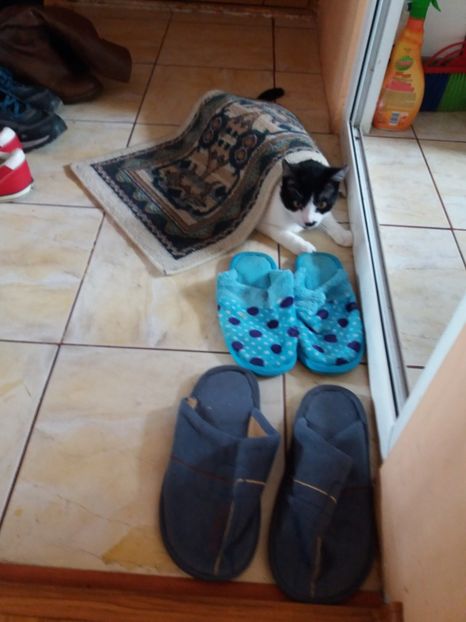  - Duracel în februarie 2018