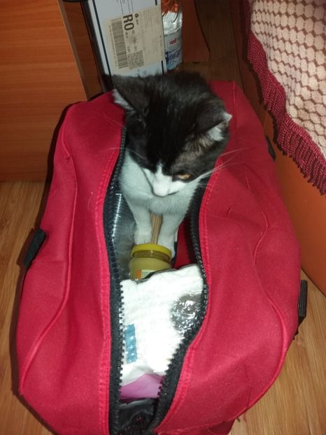  - Duracel în februarie 2018