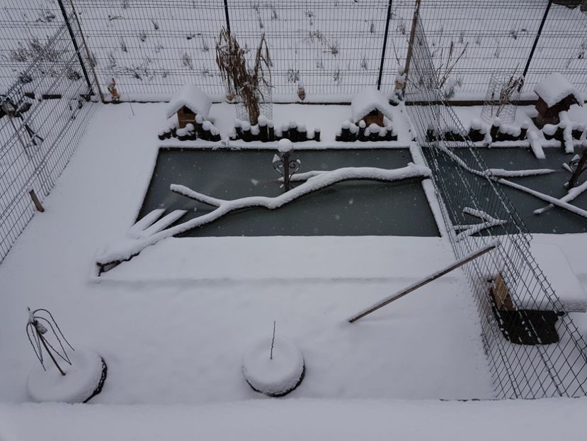  - 2018
