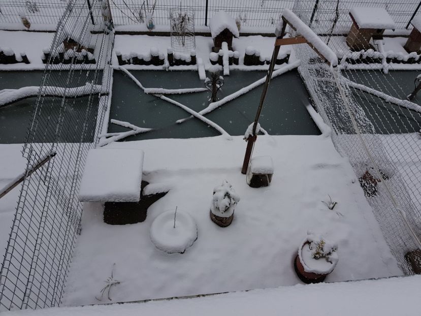  - 2018