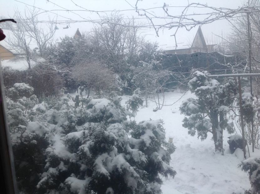  - Gradina feb 2018 un inceput de nou sezon