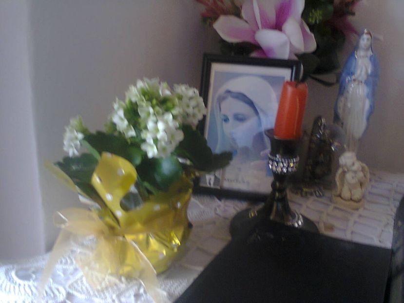 Fotografie3576 - 2018 MĂRTIȘOR 1 martie