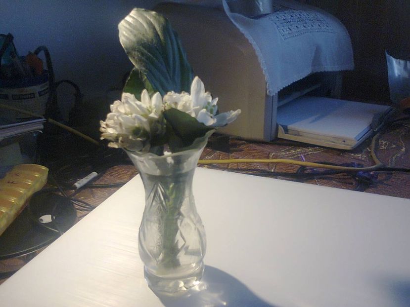 Fotografie3582 - 2018 MĂRTIȘOR 1 martie