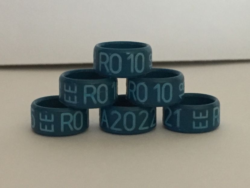  - Inele Ornament 2018 EE