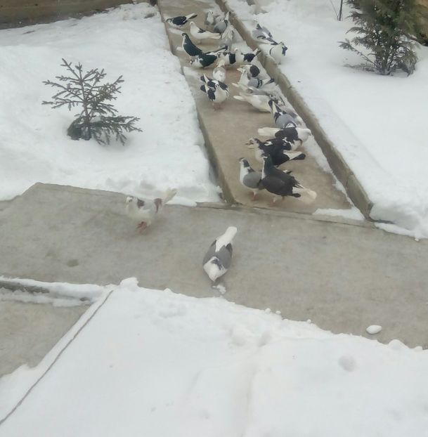  - 2018