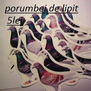 HPIM0032-300x300 - Accesori porumbei-0725840353