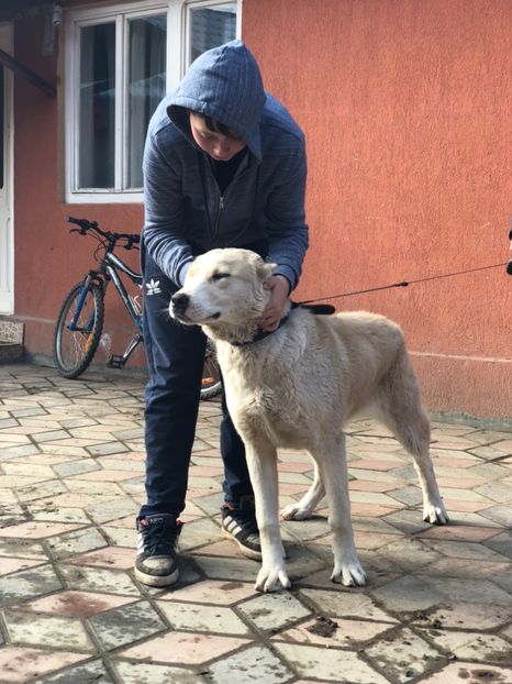 7D12CC2C-AF6D-4C9F-899B-DF3FA57B0E0F - 1 Căței Asia Centrală 2017-2018