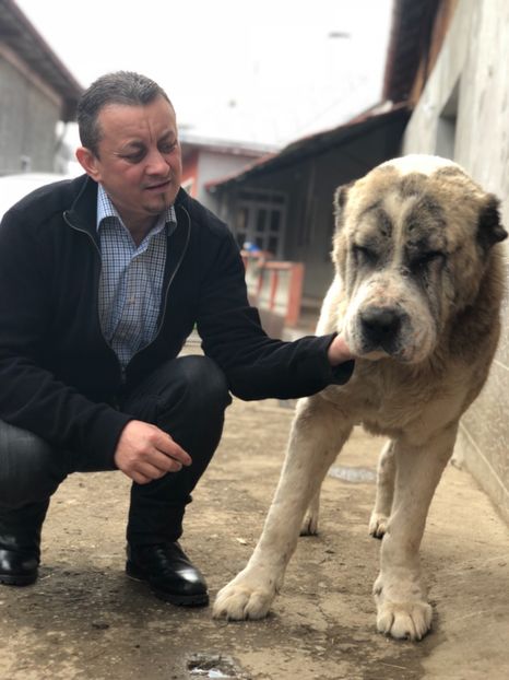 9CAFEAB8-0844-4B0B-82D5-FCDEA6851454 - 1 Bătrâneii Asiatici 2018