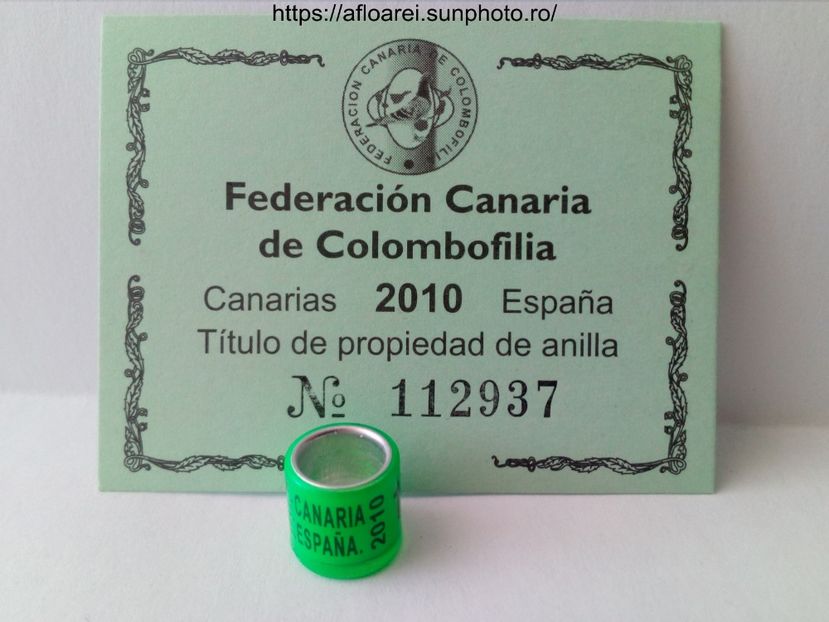 FCC CANARIA ESPANA 2010 - CANARIA