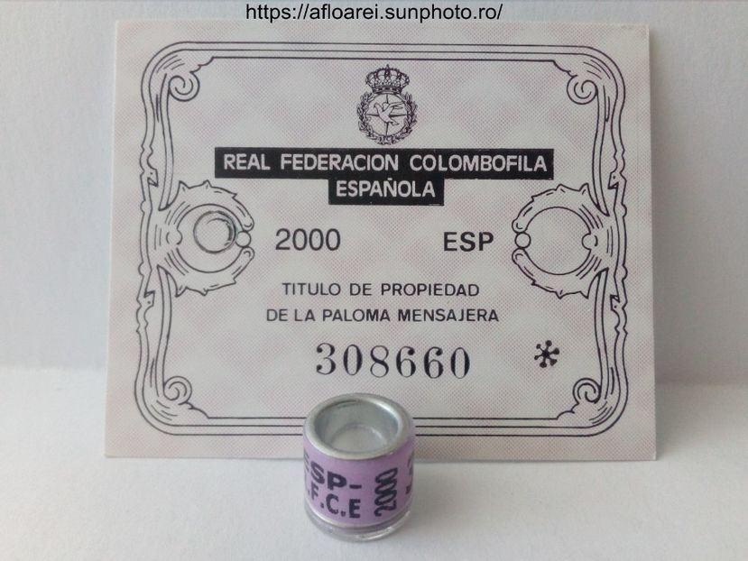 ESP 2000 - SPANIA-ESP