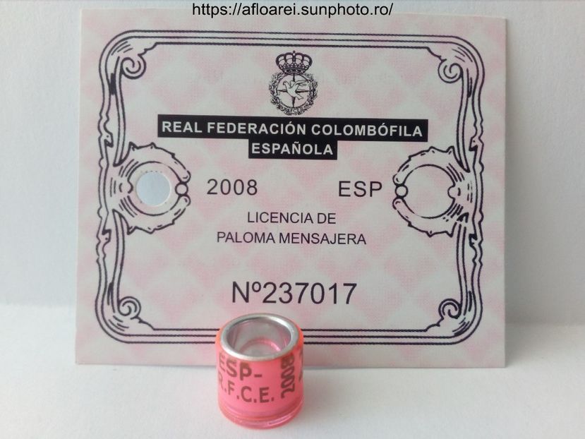 ESP 2008 - SPANIA-ESP