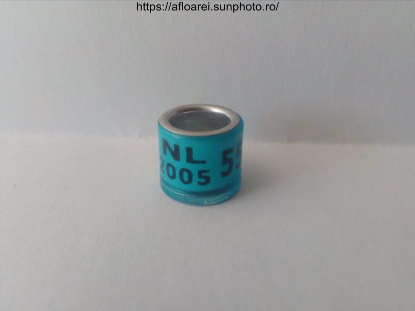 NL 2005 - OLANDA DERBY