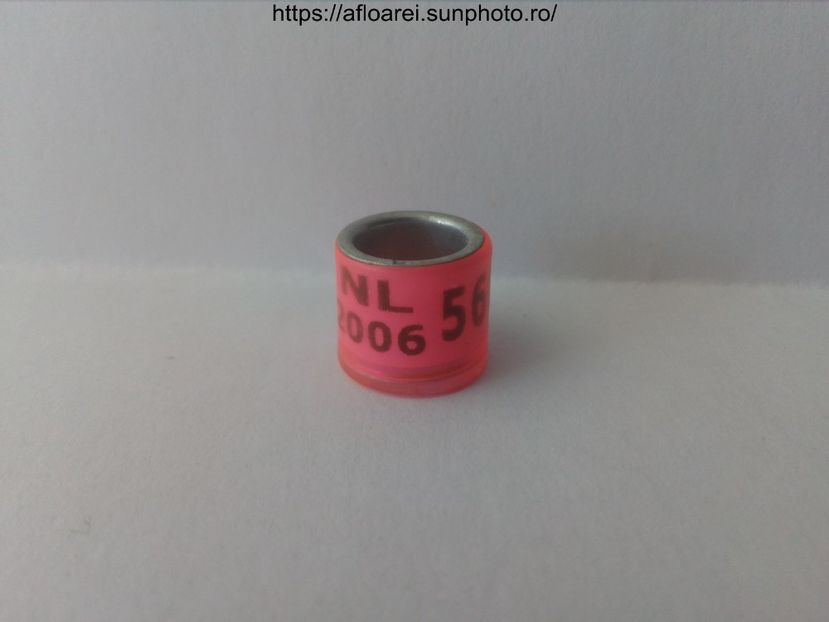 NL 2006 DERBY - OLANDA DERBY