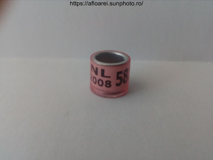 NL 2008 - OLANDA DERBY