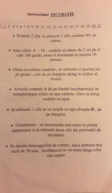 Pentru clocitori Cleo simple - I ncubatie - maternitate- haleala - puisori