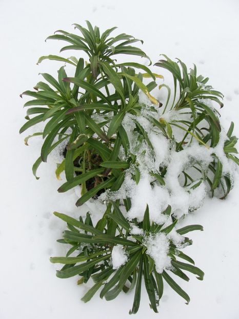 4 martie 2018 - Martie 2018