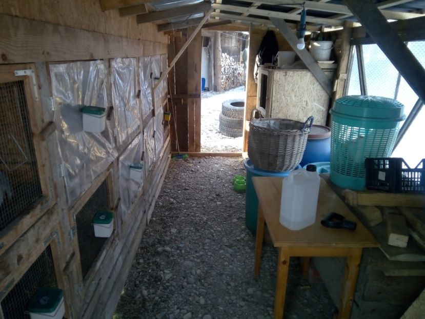  - CUSTILE  IEPURASILOR