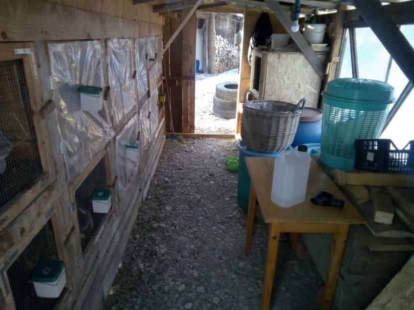  - CUSTILE  IEPURASILOR