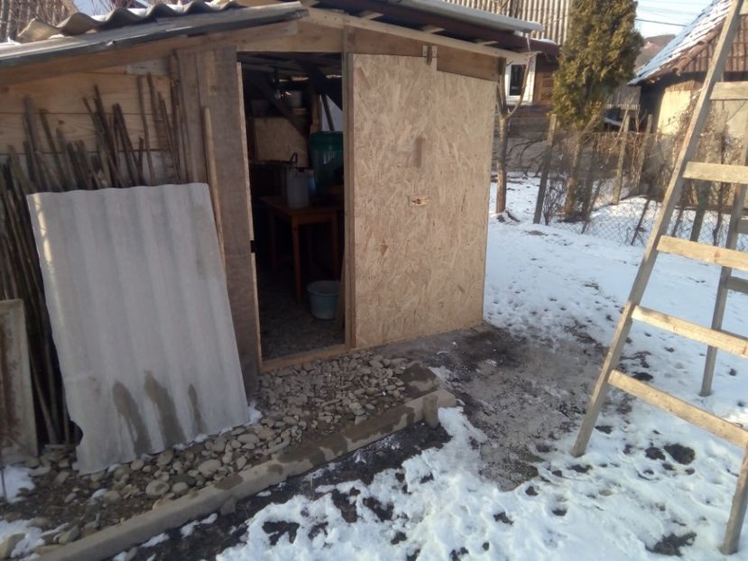  - CUSTILE  IEPURASILOR