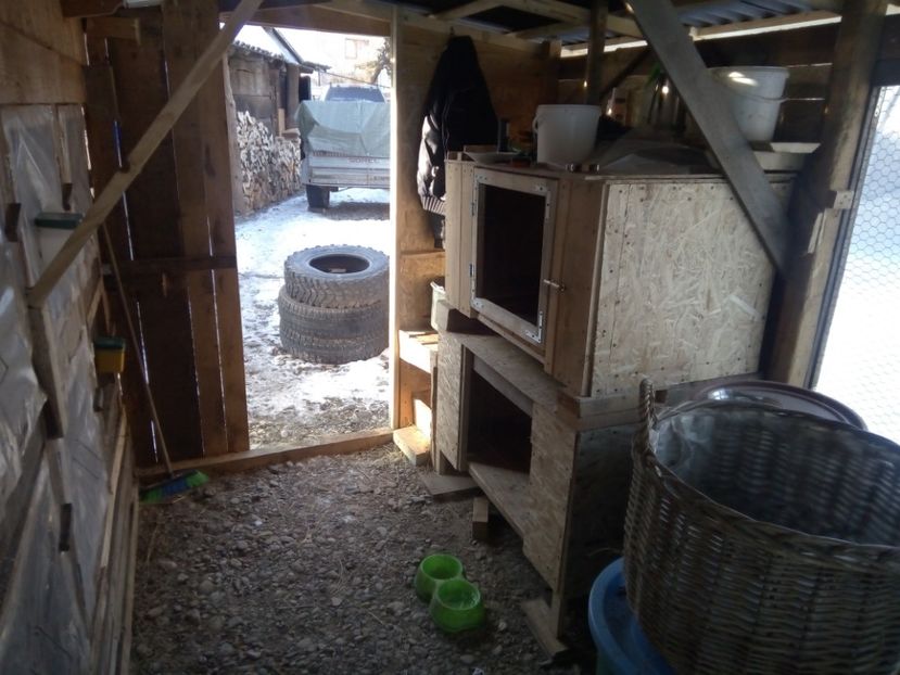  - CUSTILE  IEPURASILOR