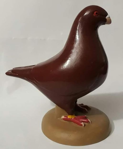  - 2 Porumbei Giant Homer