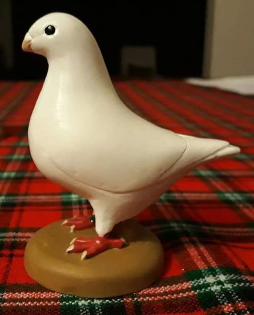  - 2 Porumbei Giant Homer