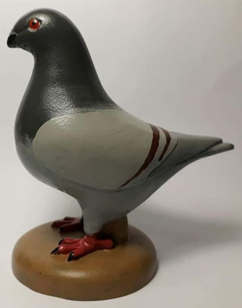  - 2 Porumbei Giant Homer