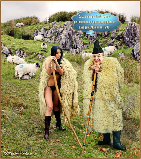  - Poze haioase pamflet