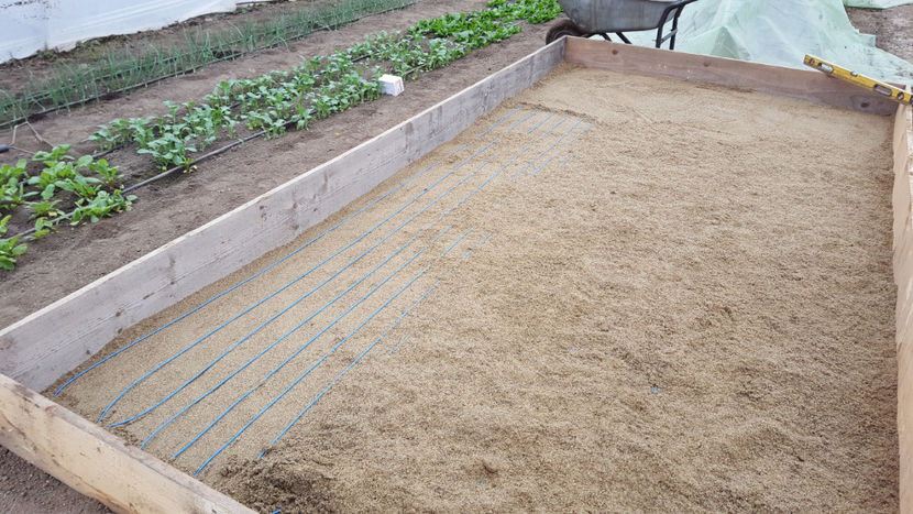 rezistenta electrica si stratul 2 de nisip - Rasadnita 2018