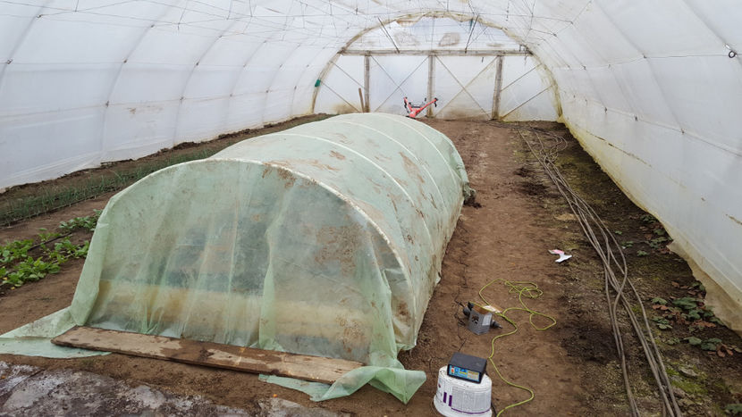 exterior si termostat electronic - Rasadnita 2018