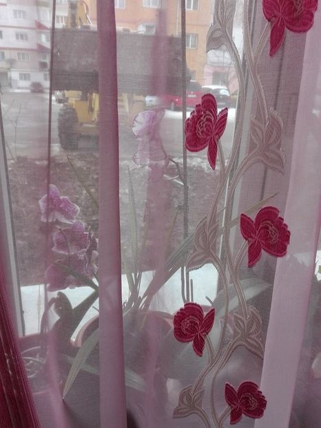 a 3 a tura - defrisarea