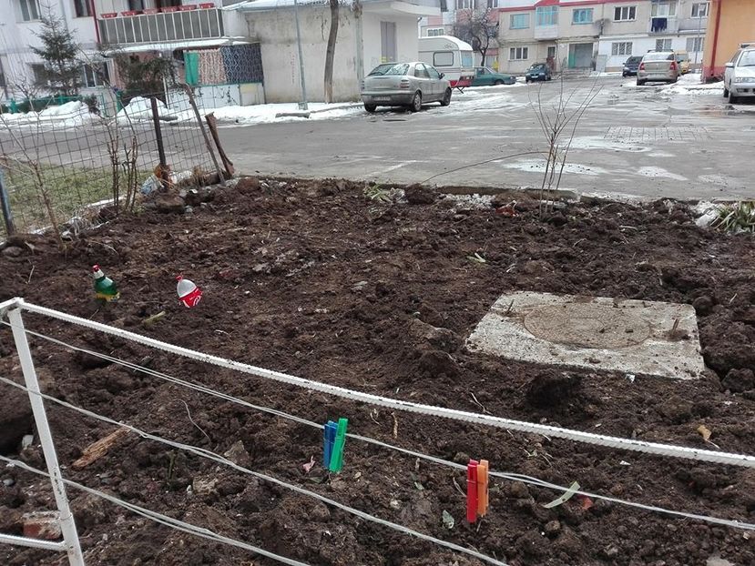 finalul lucrarilor - defrisarea