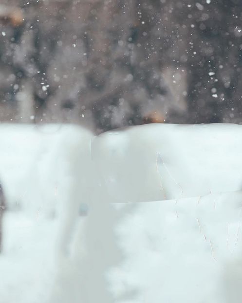  - 01 background - 01
