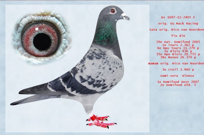 DV  1697 - 12 - 2405   Sg. Mack Racing - Achizitii - 2018 - matca