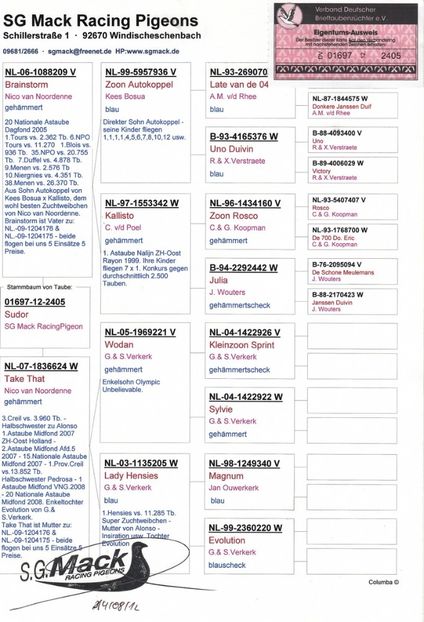 ped - Achizitii - 2018 - matca